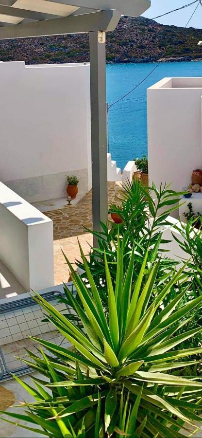 Aegean Muses *