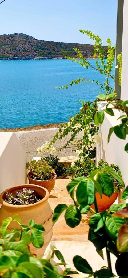 Aegean Muses Holiday home